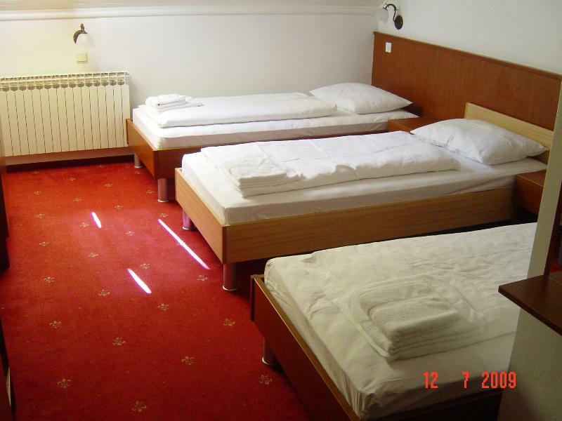Hotel Risnjak ديلنايس المظهر الخارجي الصورة